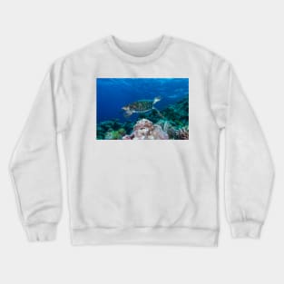 Hawksbill Sea Turtle on the Great Barrier Reef Crewneck Sweatshirt